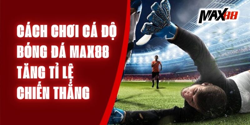 Cách Chơi Cá Độ Bóng Đá Max88 Tăng Tỉ Lệ Chiến Thắng