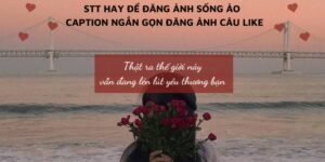 Những Câu STT Hay Trên Facebook Tràn Đầy Cảm Hứng Mùa Hè