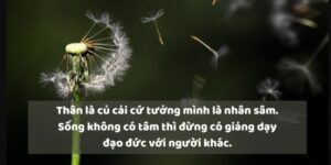 Những Câu STT Hay Về Cuộc Sống Tuổi Trẻ Kỷ Niệm Đẹp