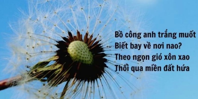 Những Câu STT Hay Về Hoa Bồ Công Anh - Nhẹ Nhàng, Bay Bổng