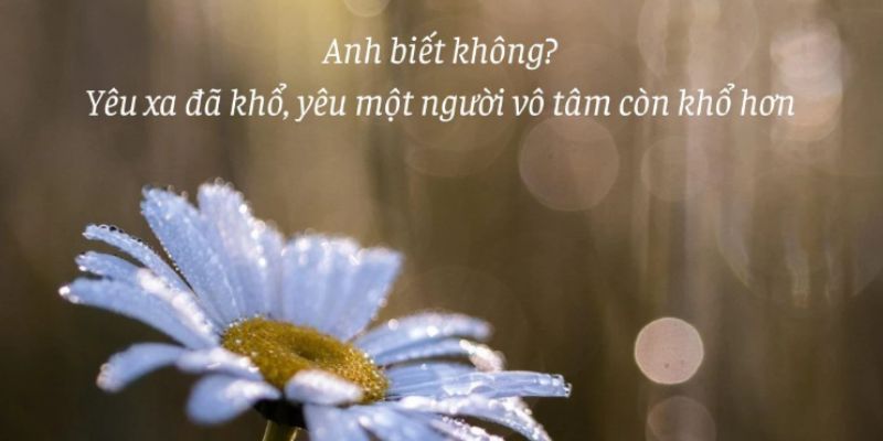 Sự vô tâm trong tình yêu là một trong những yếu tố phá vỡ mối quan hệ