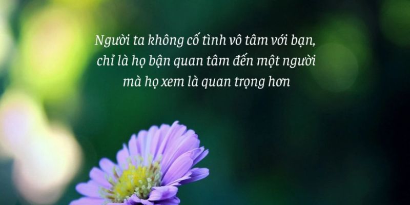 Tình yêu này chẳng có gì đáng giá khi nó bị bao phủ bởi sự thờ ơ