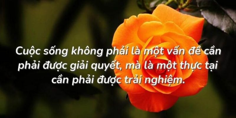 Chỉ có lòng từ bi mới dập tắt thù hận trong tâm con người