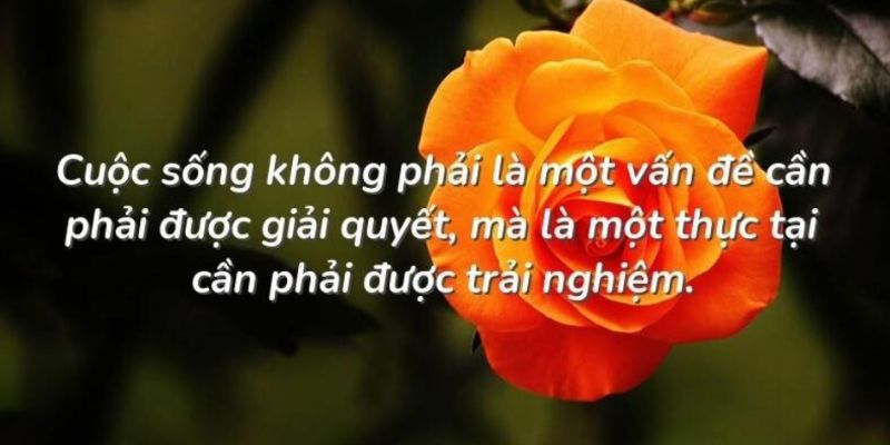 Tại sao cuộc sống cần những câu nói thâm thúy để suy ngẫm?