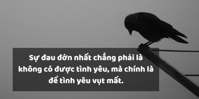 Những STT thất tình hay, tâm trạng thắm đẫm nước mắt cho dịp lễ đặc biệt