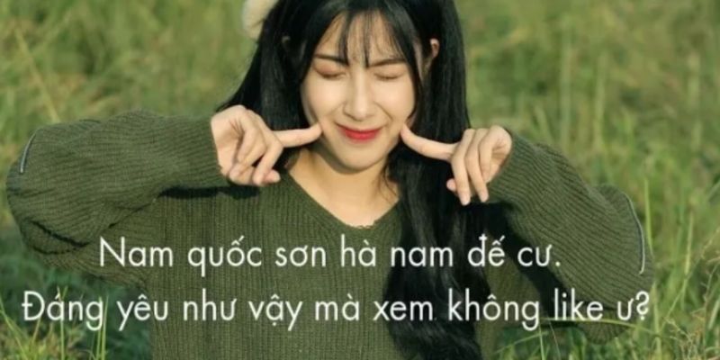 STT Câu Like - Hài Hước, Độc Lạ Và Cực Kỳ Dễ Thương