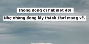 STT Chill, Những Dòng Cảm Xúc Dành Cho Tâm Hồn Tự Do