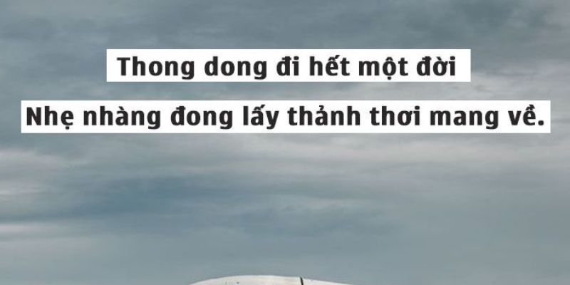 STT Chill, Những Dòng Cảm Xúc Dành Cho Tâm Hồn Tự Do