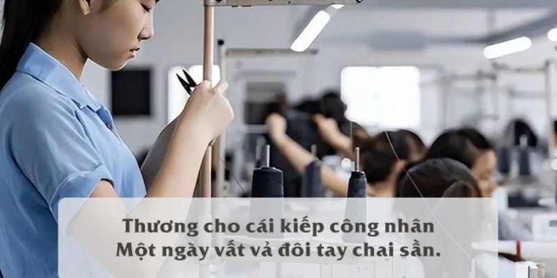 STT về đời công nhân, những đêm dài làm việc thầm lặng