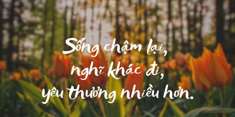 Trong cuộc sống hối hả, nhiều người quên đi ý nghĩa của việc sống chậm