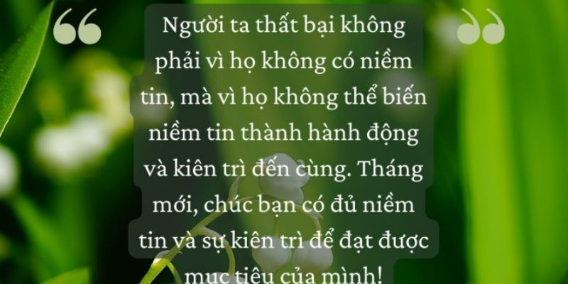 STT Tháng 1, Những Câu Nói Hay Chào Tháng 1, Chào Năm Mới 