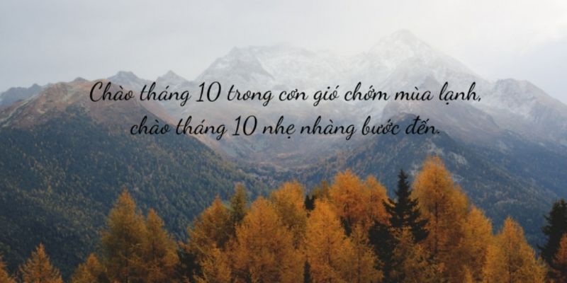 Tháng 10, tháng của buổi sáng se lạnh, của những tách trà ấm