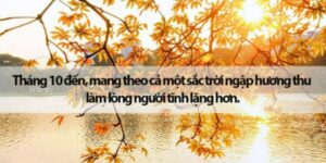 STT Tháng 10, Những Câu Nói Hay Chào Tháng 10 Thu Lãng Mạn