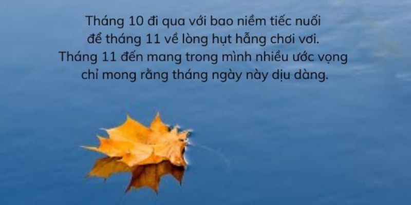 Tháng 11 là thời điểm để lên kế hoạch cho tương lai