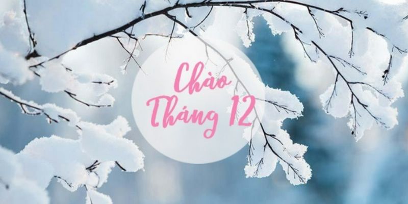 STT Tháng 12, Những Câu Nói Hay Chào Tháng 12 Bình Yên