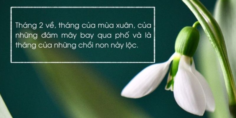 Tháng 2 mang đến những ngày tươi sáng và cơ hội mới