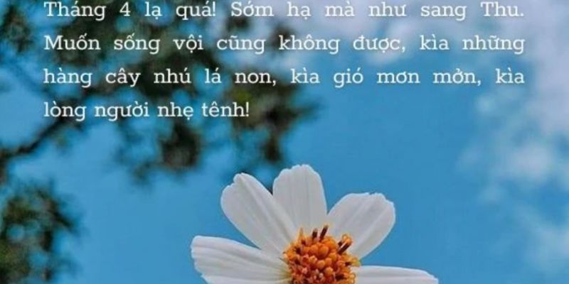 Sự thay đổi thiên nhiên, không khí trong lành của tháng 4