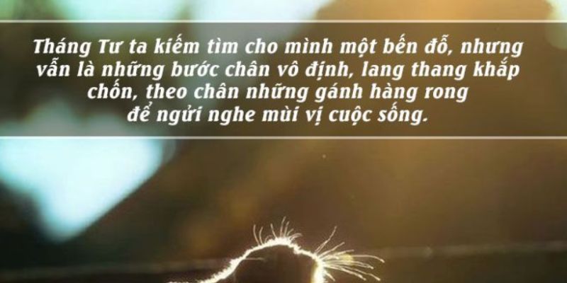 Cùng nhau bước vào tháng 4, tình yêu trọn vẹn và đầy mộng mơ