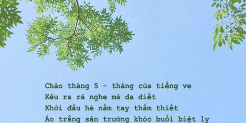 Mùa hè bắt đầu từ tháng 5, cùng nhau tạo nên những ký ức đẹp