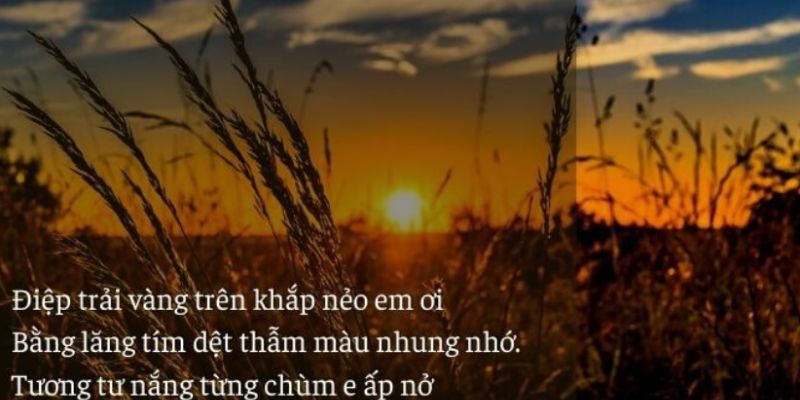 Tháng 6 mang đến cảm giác tươi mới, như một lời khích lệ