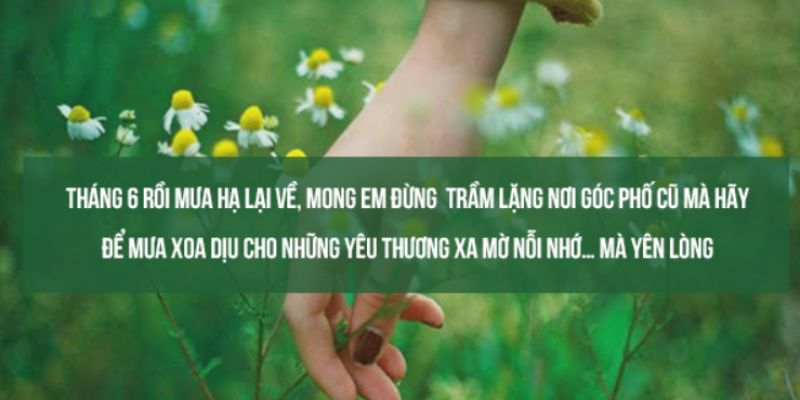 Tháng 6 đến rồi, mùa hè lại gọi tôi ra ngoài