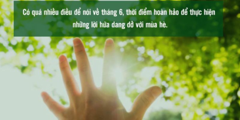 STT Tháng 6, Những Câu Nói Hay Chào Tháng 6 Thật Ý Nghĩa