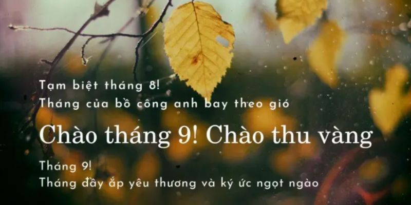 Tháng 9, mùa thu về mang theo nỗi nhớ và hy vọng