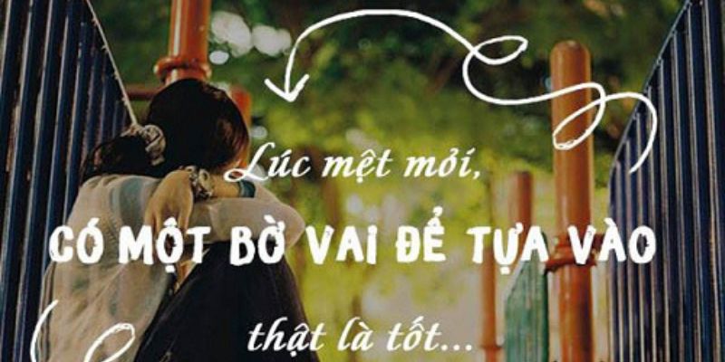 STT Về Bờ Vai: Nơi Dựa Dẫm Và Chở Che Tình Thân