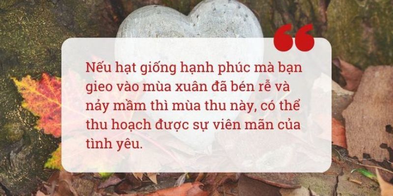 STT về những ngày khô hạn, khi bạn ước ao một cơn mưa nhẹ 