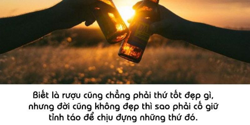 STT mượn rượu để thổ lộ lòng, khi men say giúp người ta bày tỏ tình cảm sâu sắc