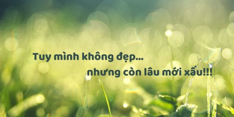 STT tuổi 23 về việc muốn thay đổi nhưng lại không biết phải thay đổi từ đâu