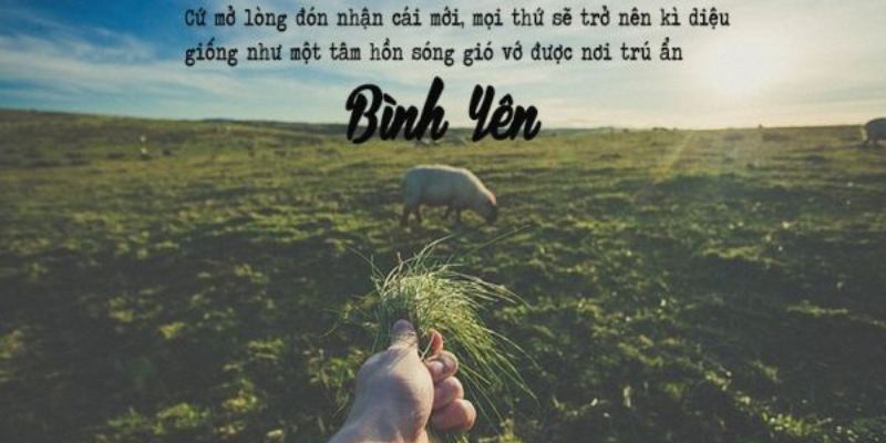 STT Viết Cho Tuổi 23: Những Bước Đi Và Cảm Xúc Đang Mở Ra