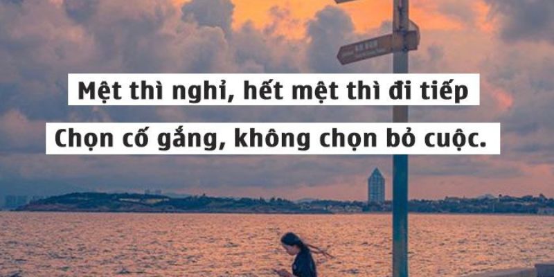 STT tuổi 24 cảm giác như đang sống trong một bộ phim hài