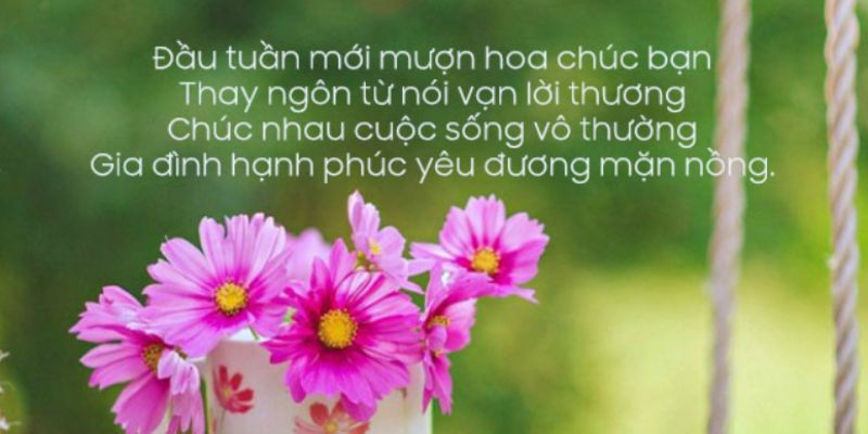 Mong rằng tuần này sẽ mang đến cho em nhiều điều thú vị và đáng nhớ