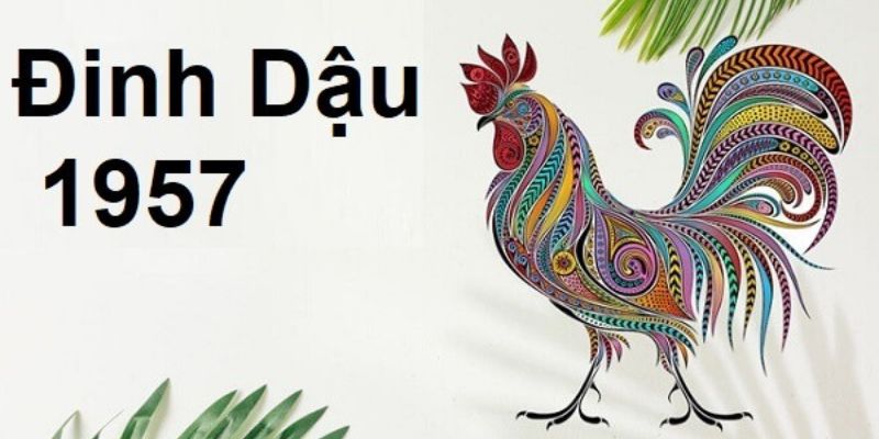 Tử vi năm 2017 cho tuổi Đinh Dậu (sinh năm 1957) và những dự báo quan trọng